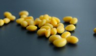 大豆炖多久能熟 炖大豆多长时间能熟
