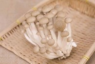 雪榕菇怎么做好吃 雪榕菇的家常做法