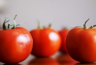 西红柿原产地是哪里 西红柿原产于什么国家
