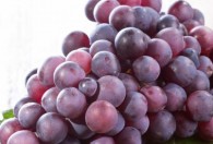 葡萄可以做什么美食 葡萄美食做法