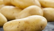 储存土豆什么温度好 土豆储存温度是多少