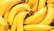 南方香蕉几月种植最好 南方香蕉的种植时间