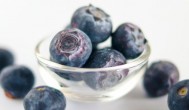 蓝莓什么时候种植合适 蓝莓合适的种植时间