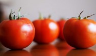 西红柿大棚种植注意事项 种植大棚西红柿注意事项