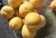 金凤黄桃几月份成熟 金凤黄桃什么时间成熟的呢