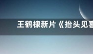 王鹤棣新片《抬头见喜》将于1月22日上线流媒体