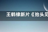 王鹤棣新片《抬头见喜》将于1月22日上线流媒体