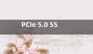 PCIe 5.0 SSD全球首测：读写速度破10GB/s  噪声大