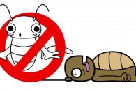 蟑螂怎么彻底清除 蟑螂有什么彻底清除的方法呢