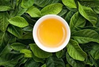 春茶季，看团采数字茶业供应链如何助力中小茶商实现“降本增效”