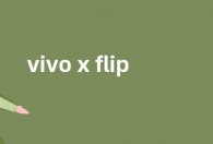 vivo x flip发布时间曝光 vivo x flip参数配置跑分一览