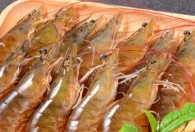 新鲜虾如何保存冷藏 新鲜虾的保存方法