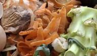 厨余垃圾怎么发酵成有机肥料，厨余垃圾有哪些