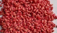 戊唑醇小麦拌种用多少适宜，拌种用什么杀菌剂好